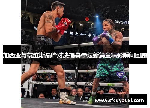加西亚与戴维斯巅峰对决揭幕拳坛新篇章精彩瞬间回顾