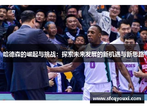 哈德森的崛起与挑战：探索未来发展的新机遇与新思路