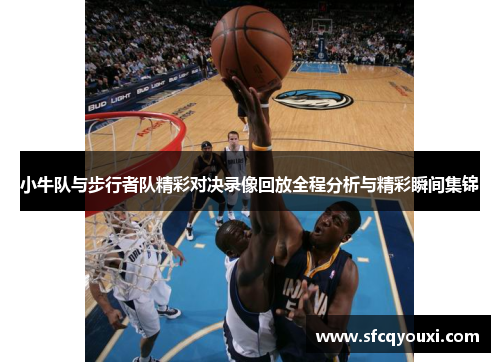 小牛队与步行者队精彩对决录像回放全程分析与精彩瞬间集锦