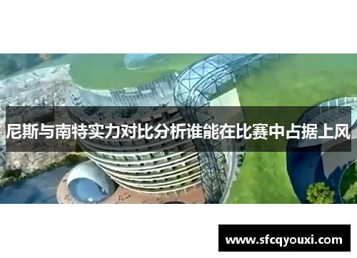 尼斯与南特实力对比分析谁能在比赛中占据上风